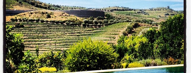 Quinta do Vallado Wine Hotel is one of Portgual.