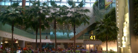 Terminal 3 is one of Ariports in Asia and Pacific.