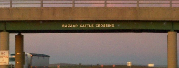 Bazaar Cattle Crossing is one of Am. Journal MMX.
