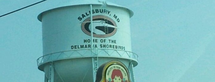 Salisbury, MD is one of Neighborhoods.