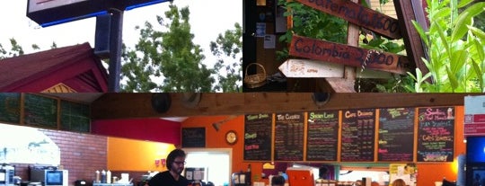 Professor Java's Coffee Sanctuary is one of Posti che sono piaciuti a Vic.