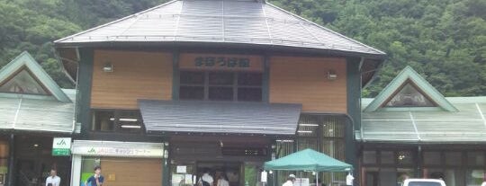 道の駅 飛騨街道なぎさ is one of 道の駅 中部.