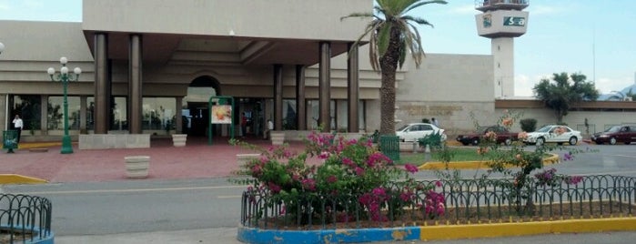 Aeropuerto Internacional de Saltillo (SLW) is one of Tempat yang Disukai Mariana.