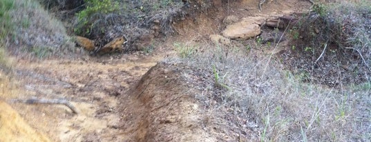 Horseshoe MB Trailhead is one of Dallas - Off Road / Mountain Bike Trails.