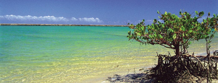 Praia de Muro Alto is one of Estive.