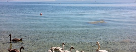 Lake Constance is one of This_is_Horosho.