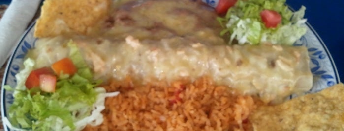 The Blue Parrot Mexican Food is one of Favorite Food.