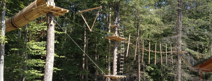 Tree Tops Canopy Tour is one of Best Spots in Fayetteville,WV #visitUS.