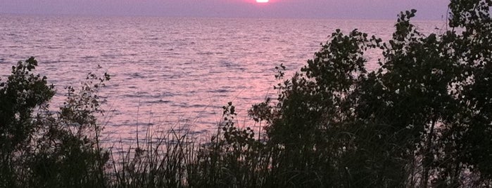 Port Crescent State Park is one of Michigan State Parks.