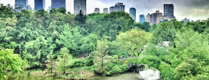 Central Park è uno dei 101 posti da vedere a Manhattan prima di morire.