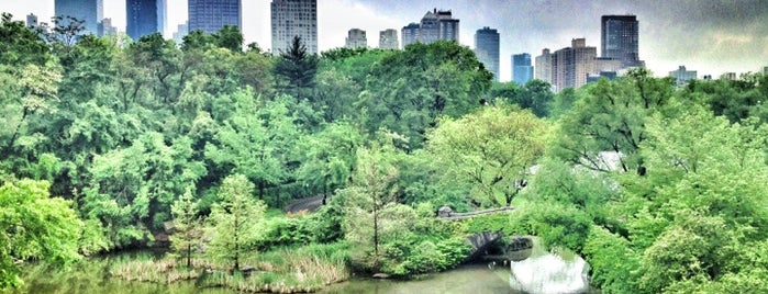 Central Park is one of NY.