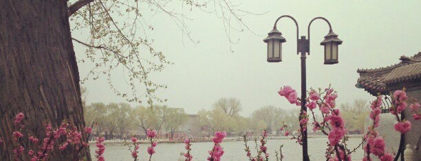Qianhai Lake 前海湖 is one of All you need in: Beijing #4sqCities.