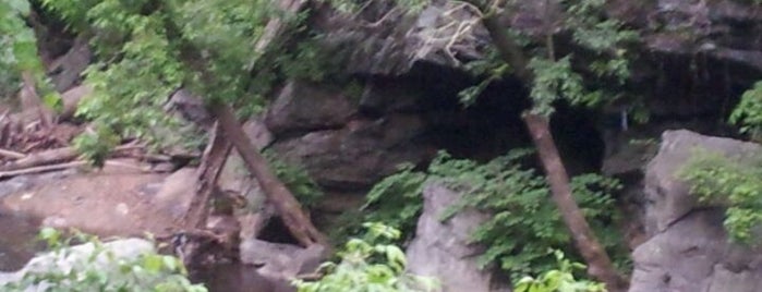 Wissahickon Valley Park is one of Joshuaさんのお気に入りスポット.