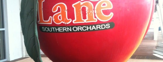 Lane Southern Orchards is one of The South.