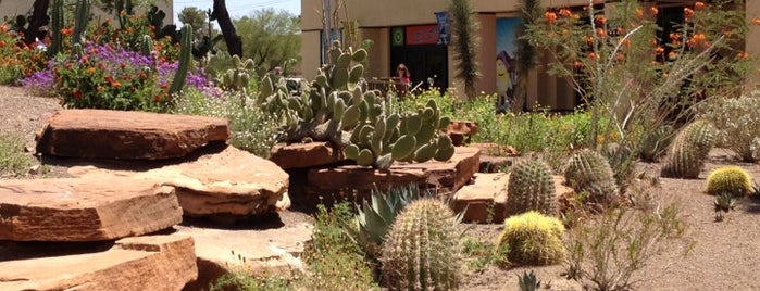 Cactus Garden is one of Las Vegas Roadtrip.