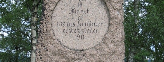 Karolinermonumentet i Handöl is one of Military history.