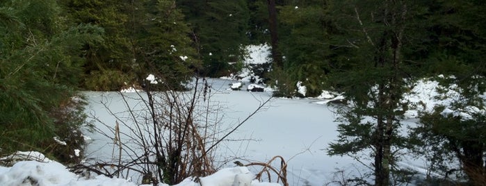 Centro de Ski Antillanca is one of Gespeicherte Orte von Carlota.