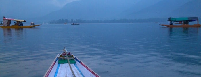 Dal Lake | डल झील | دل ليك is one of Incredible India.