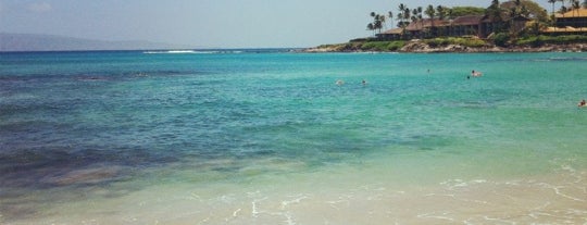 Napili Beach is one of Hawaii 🌺.
