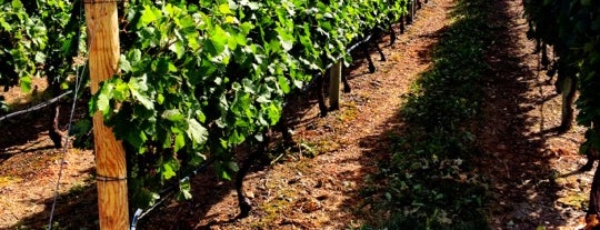 Hester Creek Estate Winery is one of สถานที่ที่ Andrew Vino50 Wines ถูกใจ.