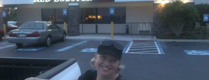 Red Lobster is one of Best places in Daytona Beach , FL.