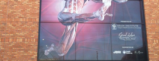 BodyWorlds & The Brain at OMSI is one of Portland, OR.