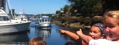 Dingy Dock & Protection Isl. Ferry Terminal is one of Vancouver Island.