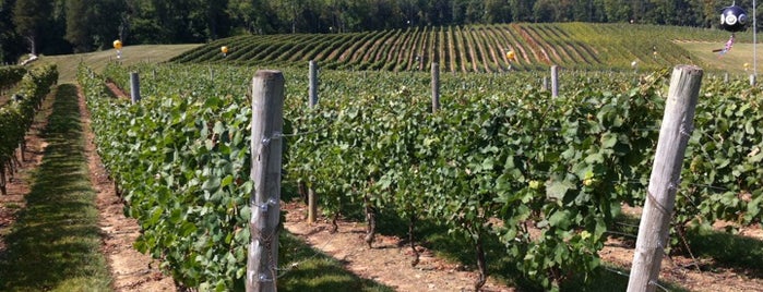 Alba Vineyard is one of Places I gotta go to (wish list).