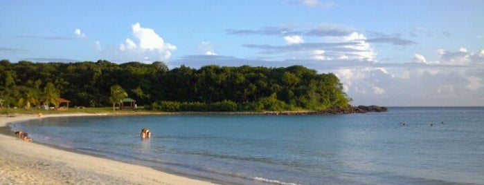 Vieques National Wildlife Refuge is one of Things To Do In Puerto Rico.