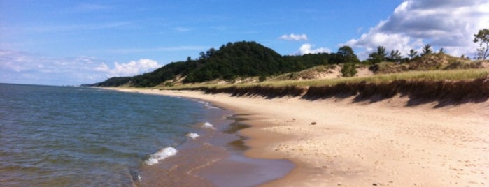 Saugatuck Dunes State Park is one of สถานที่ที่ Andy ถูกใจ.