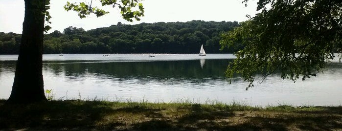 Jamaica Pond is one of Great places to read.