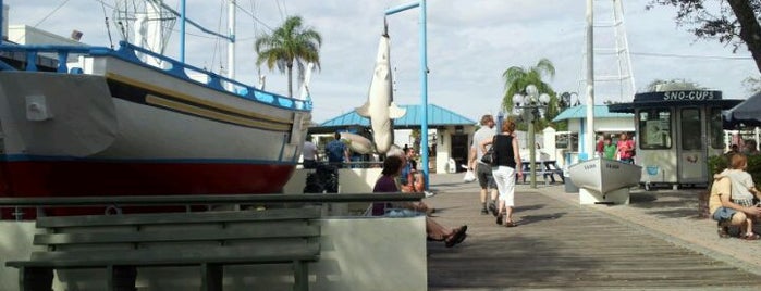 Tarpon Springs Sponge Docks (Visit Tarpon) is one of Things to do in Tampa Bay.