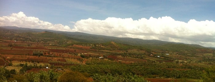 Ngoronogoro Farmhouse Lodge is one of Tempat yang Disukai Allan.