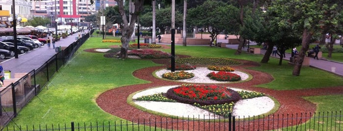 Parque Kennedy is one of Lookingflowers.