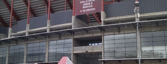 Estádio do Sport Lisboa e Benfica is one of Guide to Lisboa's best spots.