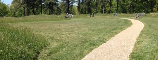 Petersburg National Battlefield is one of RVA parks.