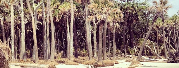 Hunting Island State Park is one of SC out of town to-do list.