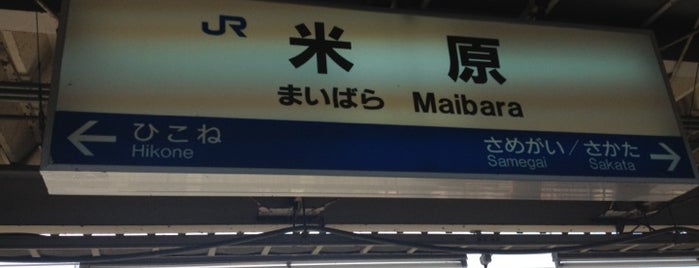 Maibara Station is one of 東海道新幹線.