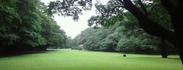 Kinuta Park is one of Parks & Gardens in Tokyo / 東京の公園・庭園.