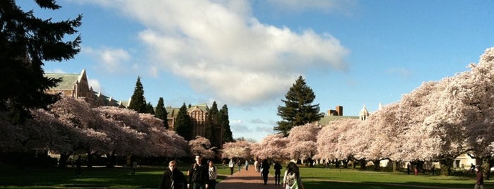 UW Quad is one of Must-visit Great Outdoors in Seattle.