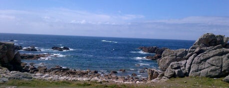ウェサン島 is one of Bretagne Nord.