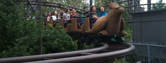 Flight of the Hippogriff is one of ParquesDiversion Orlando, Florida.