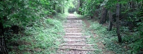 静岡県立森林公園 is one of 静岡県のキャンプ場.