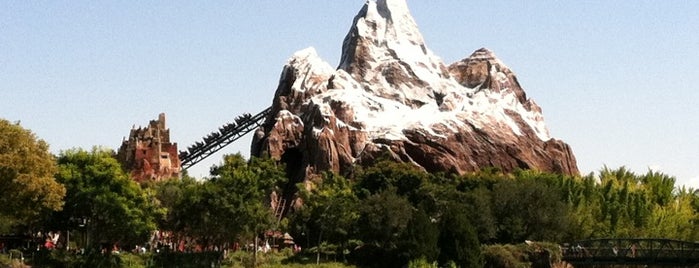 Expedition Everest is one of Must Experience Attractions in Florida.