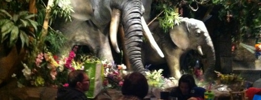 Rainforest Cafe is one of What to do in Toronto with Kids.