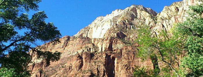 Zion National Park is one of Visit the National Parks.