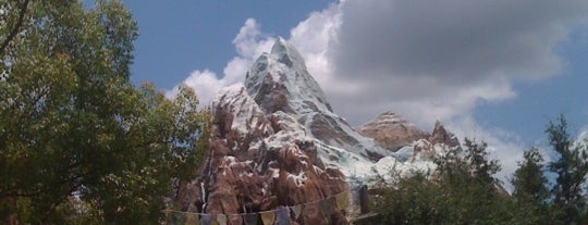 Expedition Everest is one of Theme Parks & Roller Coasters.