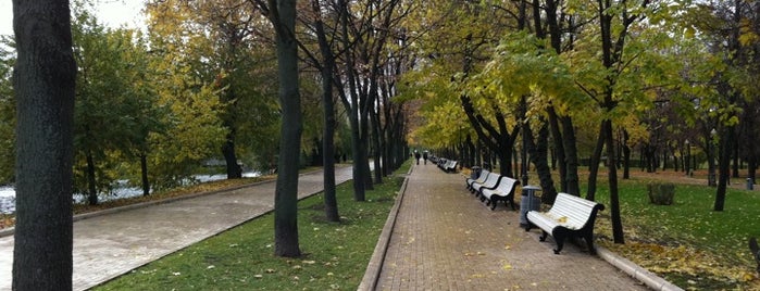 Parque Novodevichy is one of Beautiful places for photowalks.