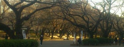 Ueno Park is one of My favorites for Parks.