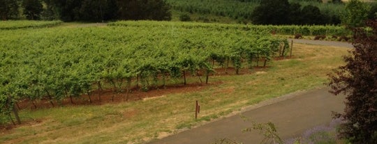 Willamette Valley Vineyards is one of Lugares favoritos de Geoff.